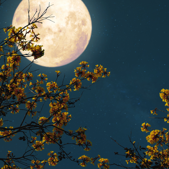 May 2025 Full Moon in Scorpio