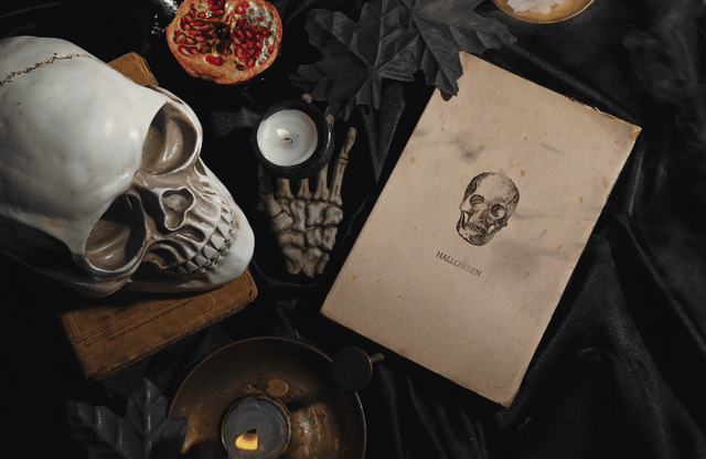 Skull and Journal