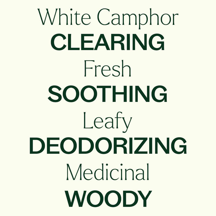White Camphor Essential Oil 10mL