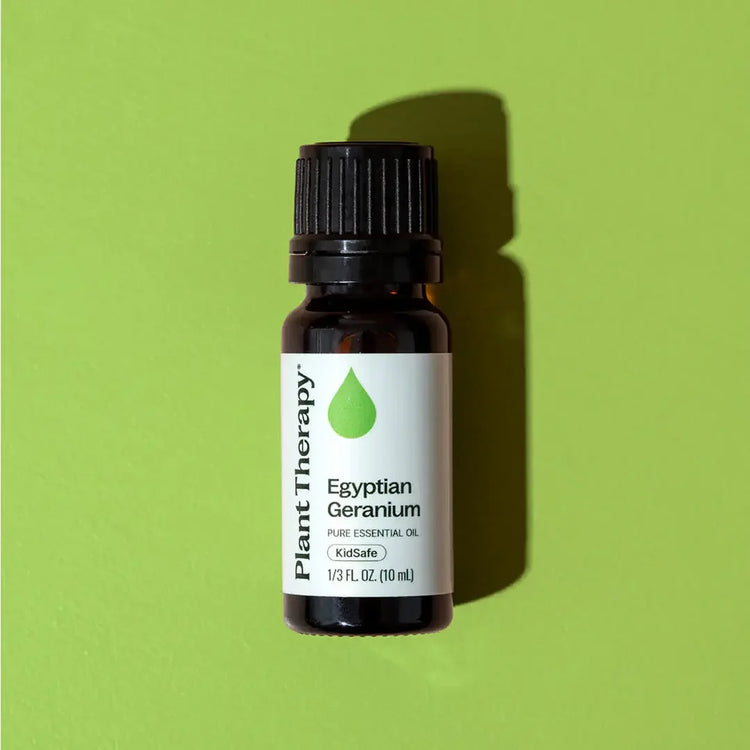 Plant Therapy Egyptian Geranium essential oil bottle on green background, 10ml size