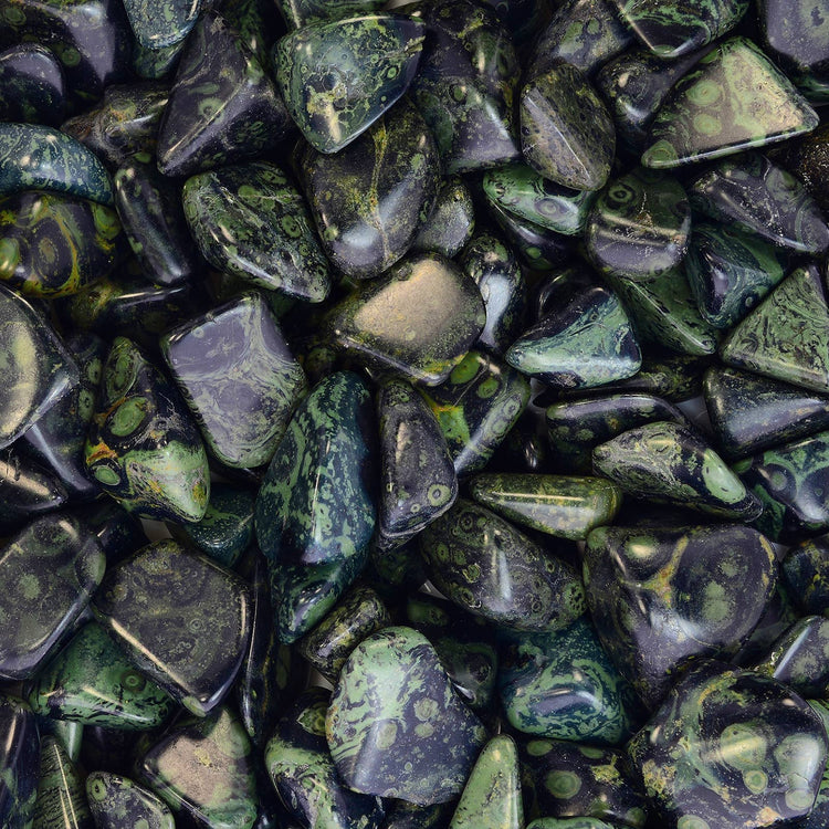 Crocodile Jasper | Primal Strength, Stability