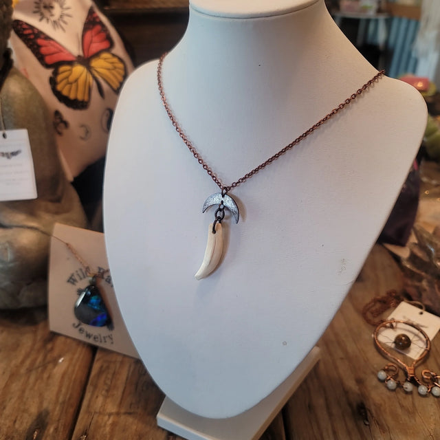 Opossum tooth pendant