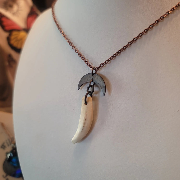 Opossum tooth pendant