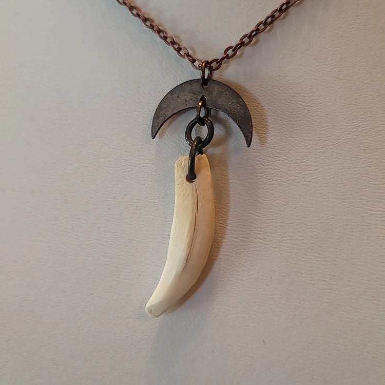 Opossum tooth pendant