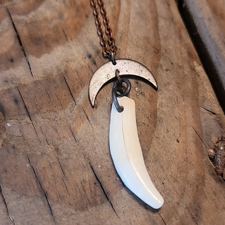 Opossum tooth pendant