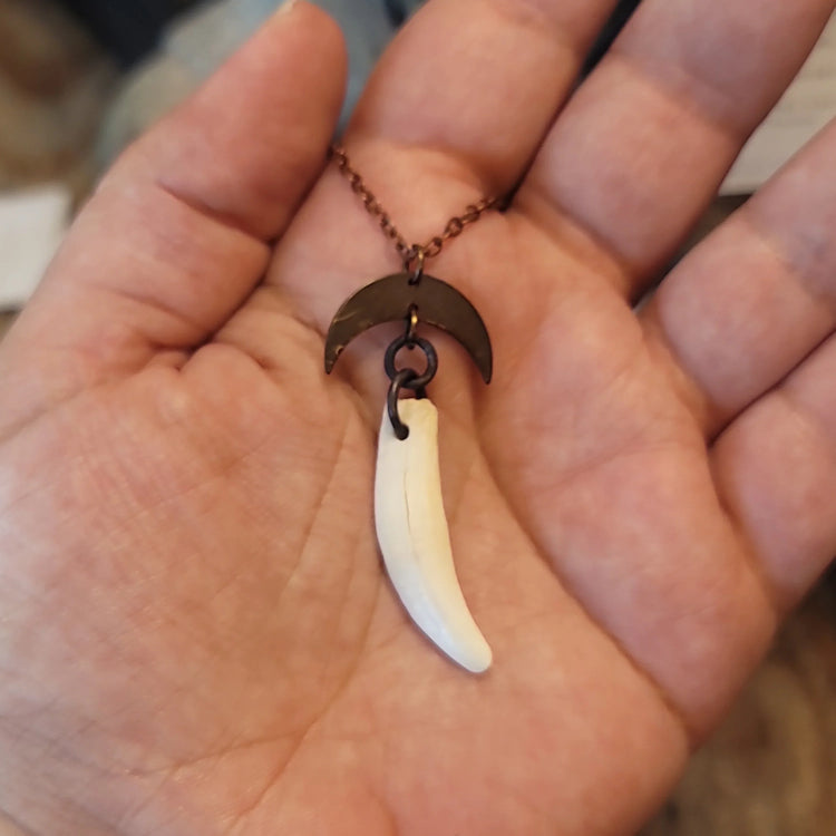 Opossum tooth pendant