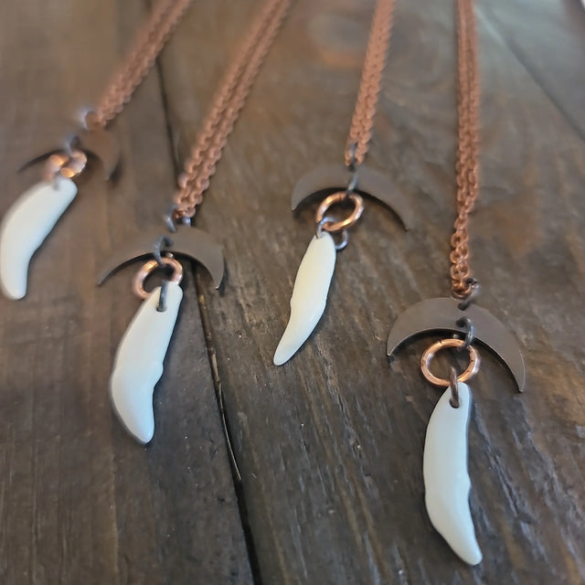 Coyote Tooth Necklace