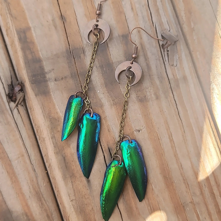 Jewel Beetle Earrings
