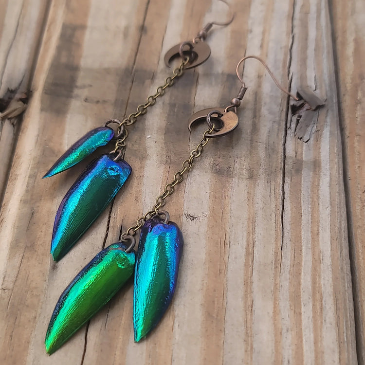 Jewel Beetle Earrings