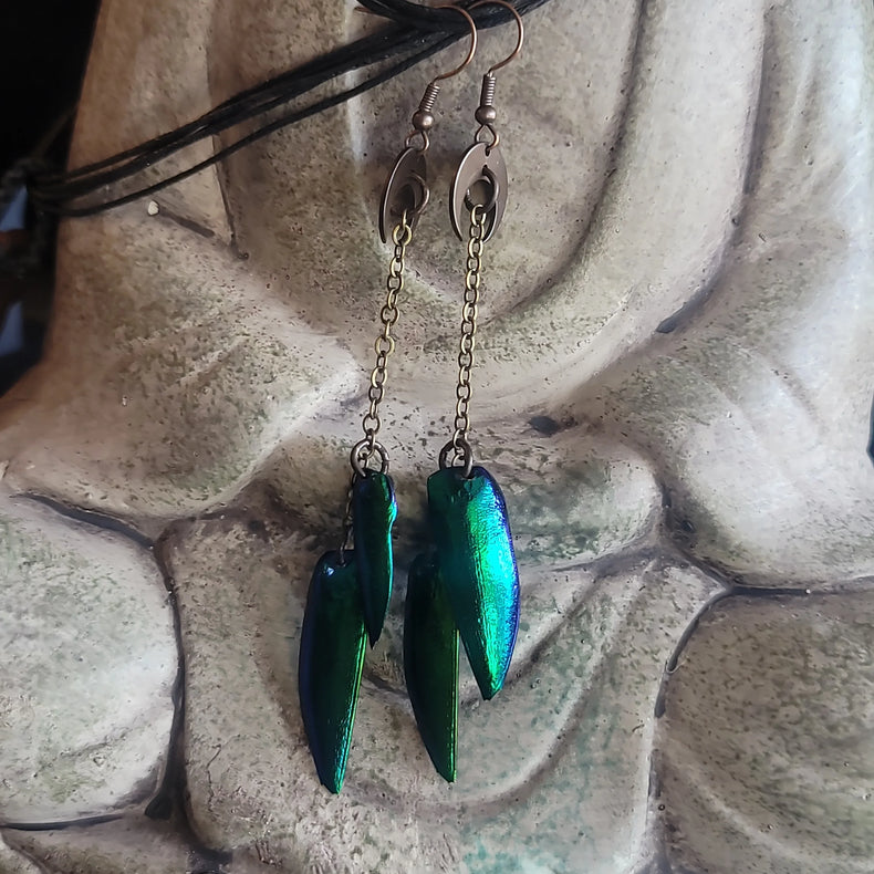 Jewel Beetle Earrings