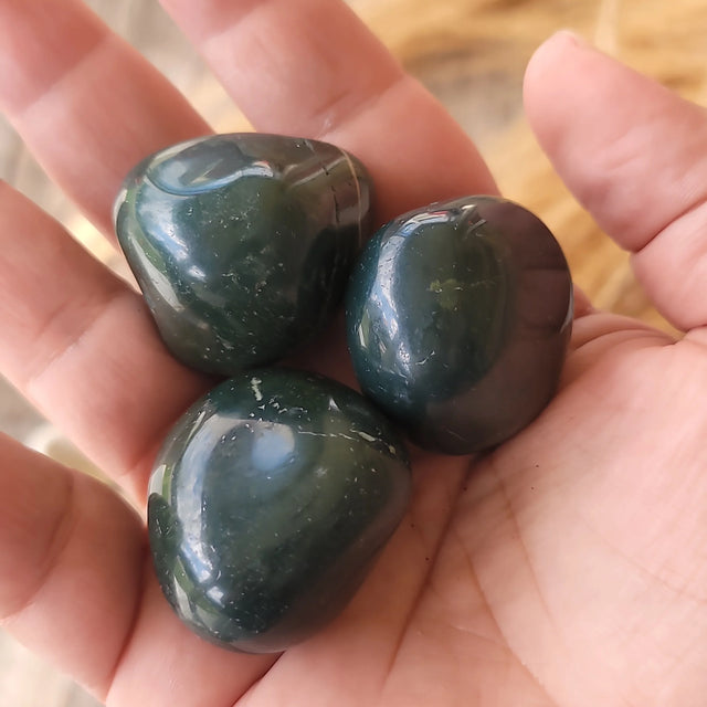 Bloodstone Tumbled Stone | Protection & Vital Force