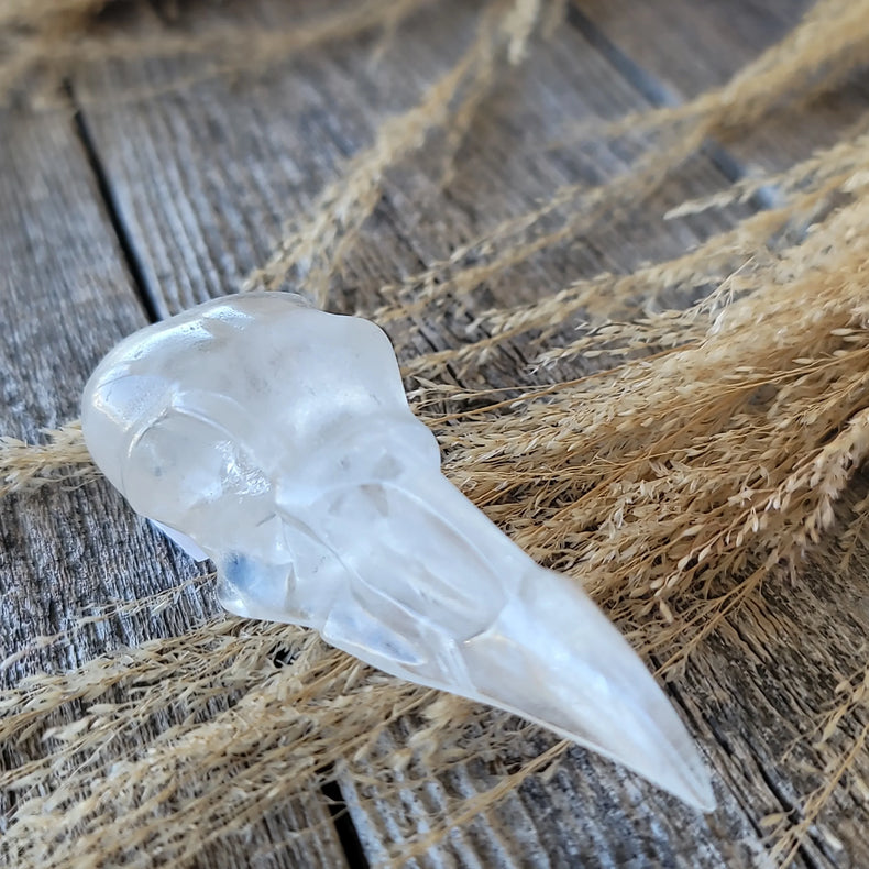 Clear Quartz Raven Skull