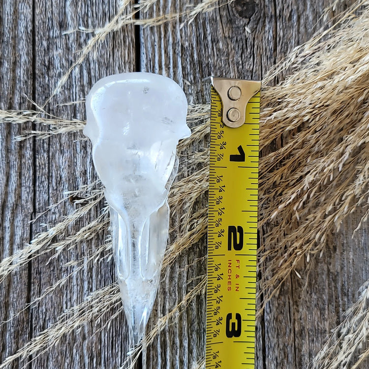 Clear Quartz Raven Skull