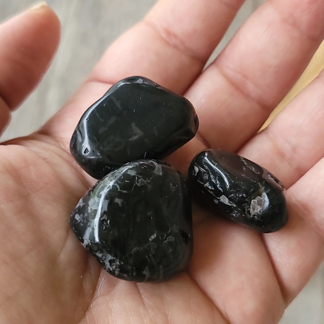 Black Onyx Tumbled  | Focus + Energetic Protection