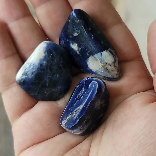 Sodalite Tumbled | Insight + Truth Stone
