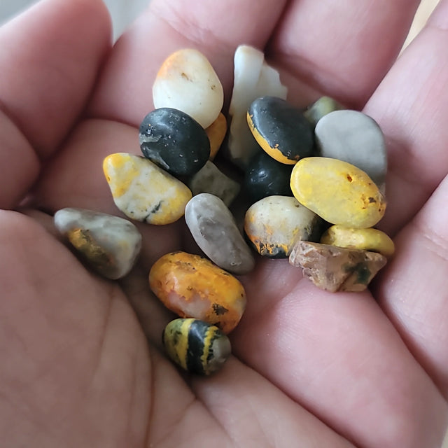 Bumblebee Jasper | Vitality + Courage Crystal