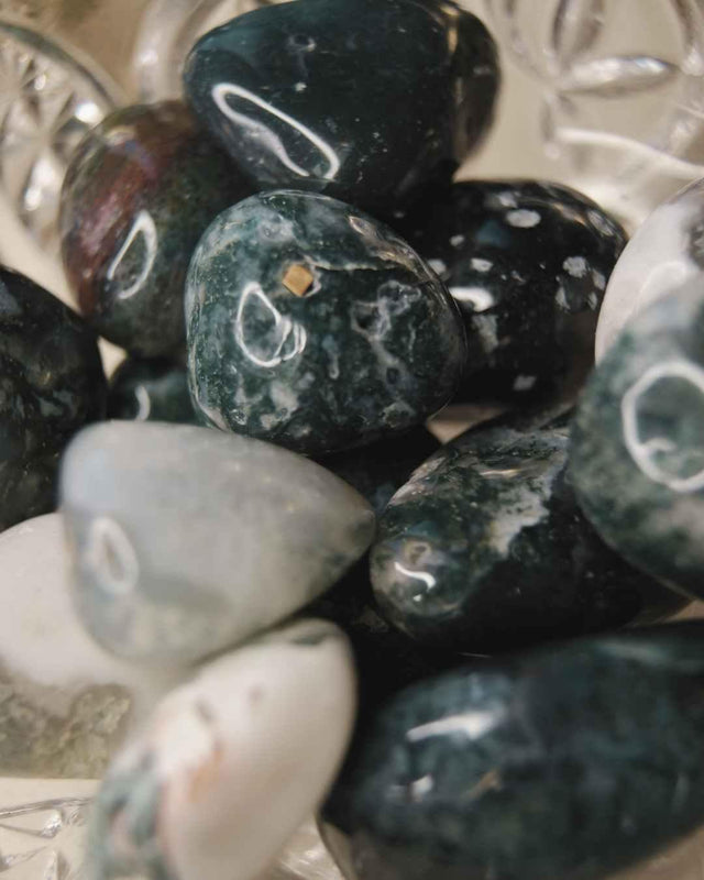 Moss Agate Tumbled | Abundance + Renewal