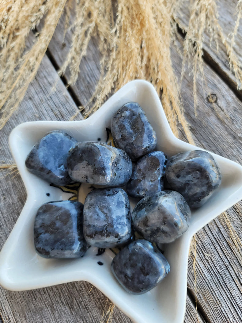 Larvikite Tumbled | Grounding + Psychic Protection