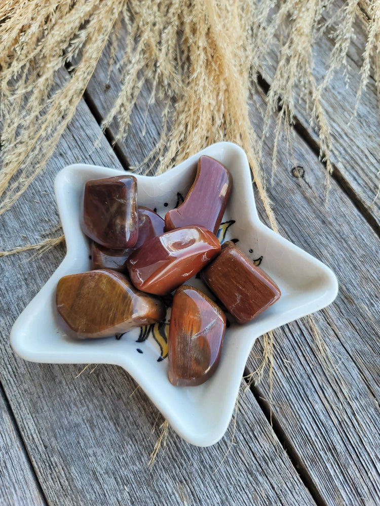 Petrified Wood Tumbled | Patience + Ancient Wisdom