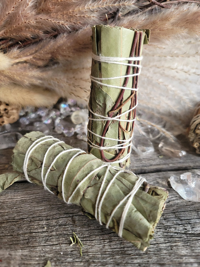 Eucalyptus Bundle 4"