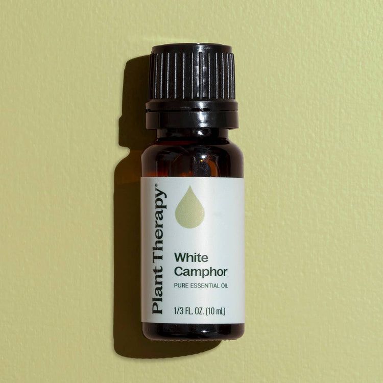 White Camphor Essential Oil 10mL