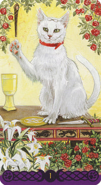 White cat with red collar on tarot card, surrounded by roses and lilies, mystical spiritual imagery