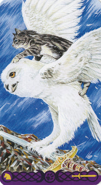 White owl with tabby cat riding on its back, soaring over mystical landscape with sword and runes, tarot card art