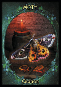Moth tarot card with candle, crystals, and caution text — mystical spiritual artwork for metaphysical practice