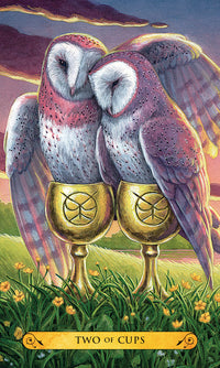 Two owls perched on golden cups at sunset, tarot card art for spiritual readings and metaphysical practice