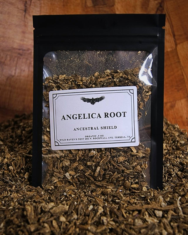 Angelica Root