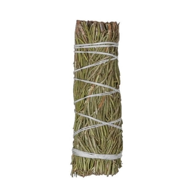 Rosemary Bundle 4"