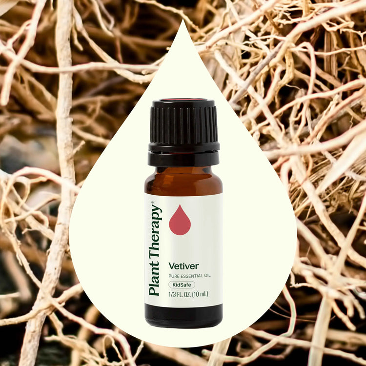 Vetiver Essential Oil 10 mL
