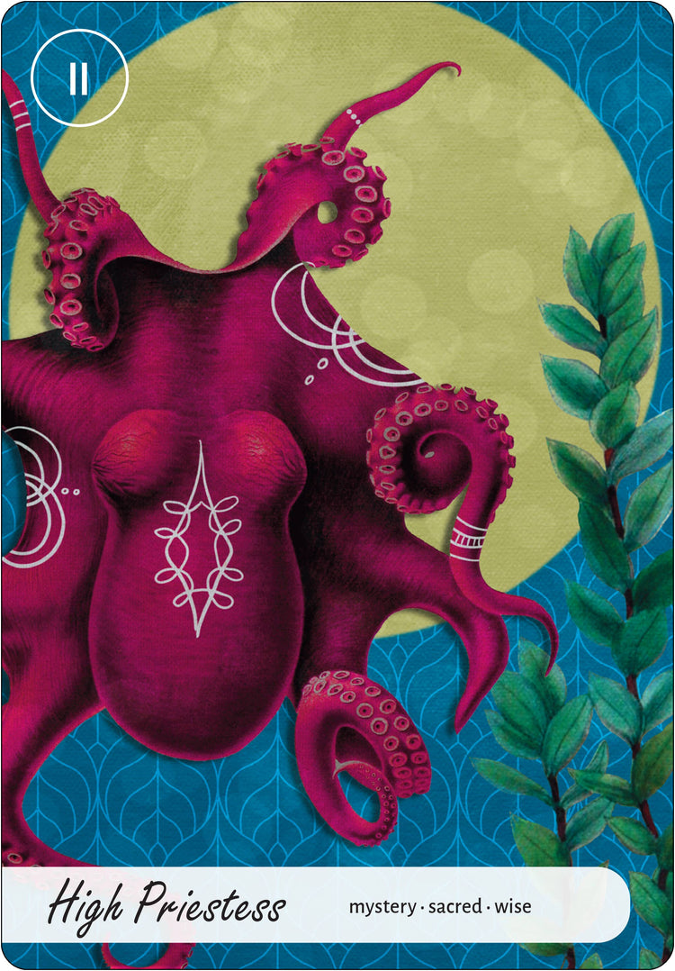 Wise Earth Medicine Tarot: 78 Cards & 96 Page Guidebook