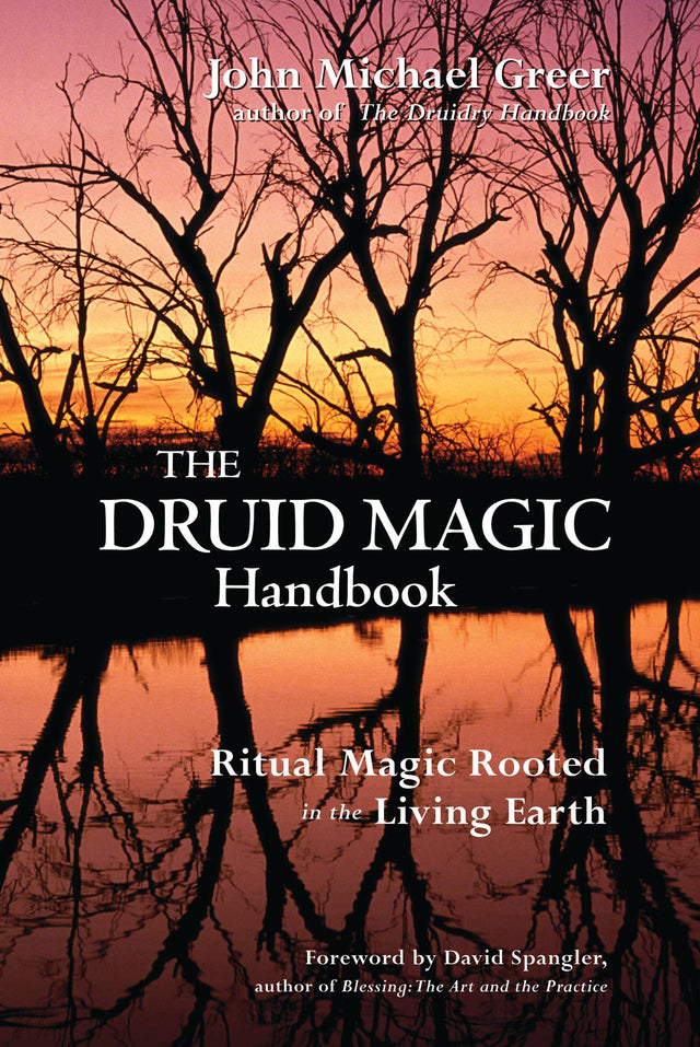 The Druid Magic Handbook book cover with sunset, bare trees, and water reflection.