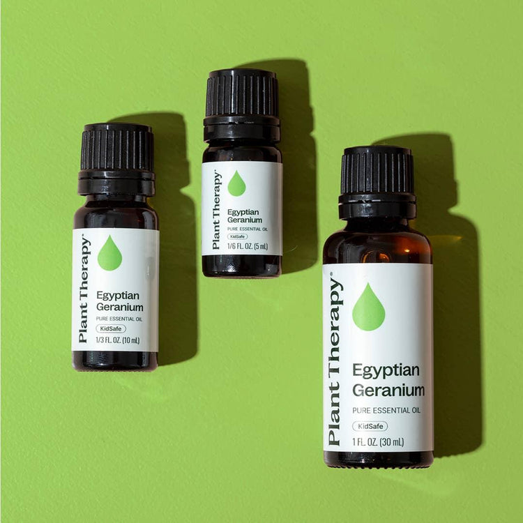 Plant Therapy Egyptian Geranium essential oil bottles on green background