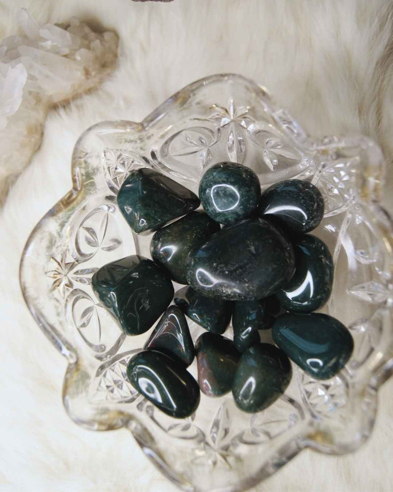 Bloodstone Tumbled Stone | Protection & Vital Force