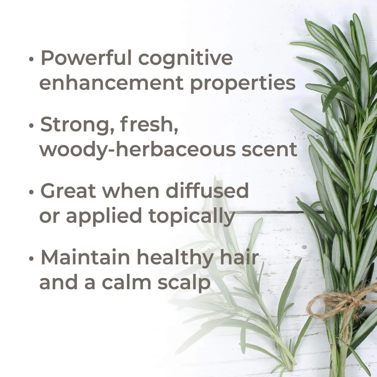 Organic Rosemary 1,8-Cineole Essential Oil 10 mL