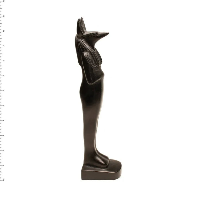 Anubis Mummy Black - 11"