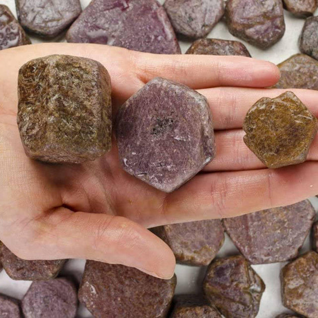 Hand holding raw ruby crystals, natural hexagonal gemstones, healing stones display