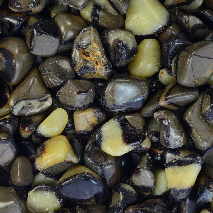 Polished tumbled septarian stones with brown, yellow, and black patterns close-up