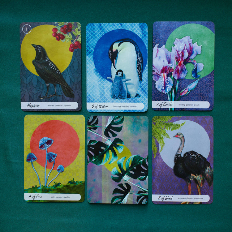Wise Earth Medicine Tarot: 78 Cards & 96 Page Guidebook