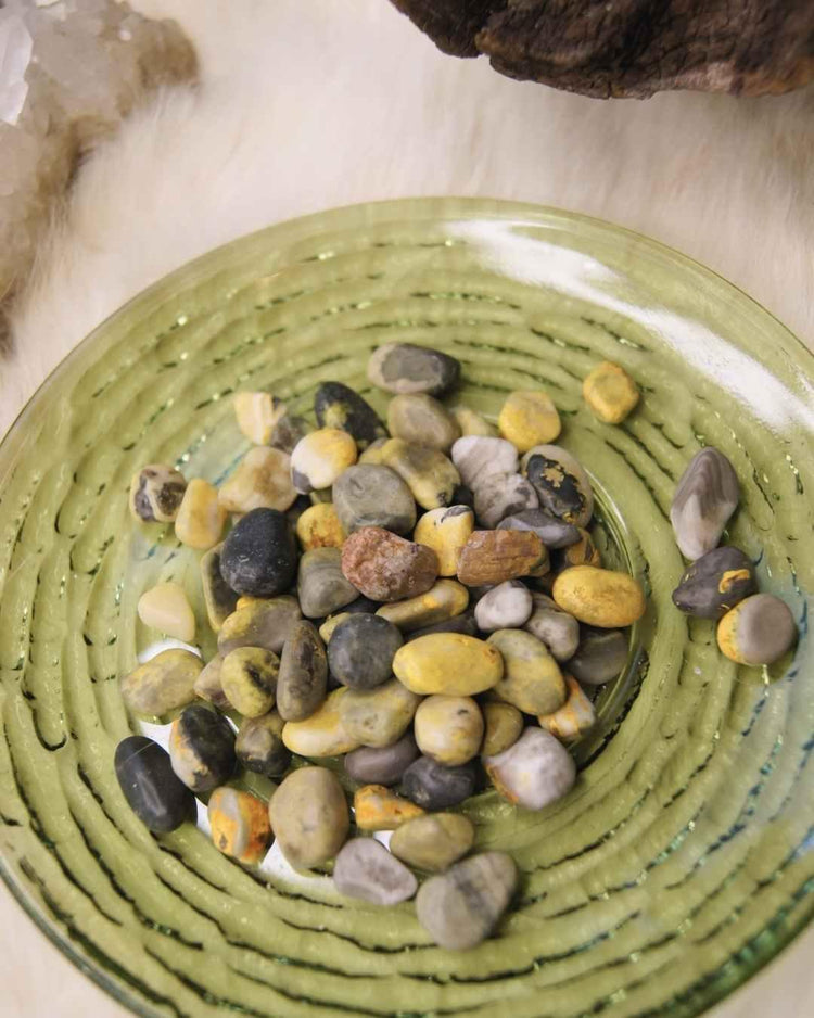 Bumblebee Jasper | Vitality + Courage Crystal