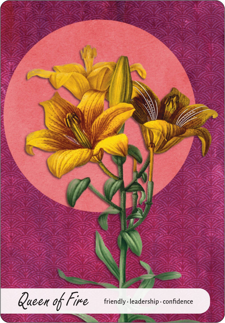 Wise Earth Medicine Tarot: 78 Cards & 96 Page Guidebook