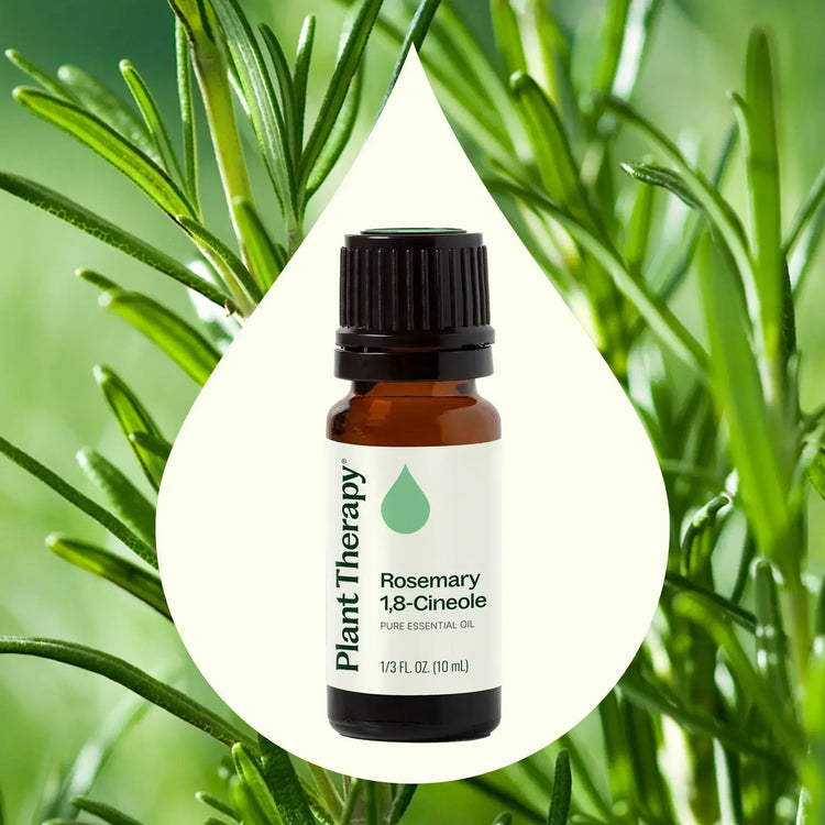 Organic Rosemary 1,8-Cineole Essential Oil 10 mL