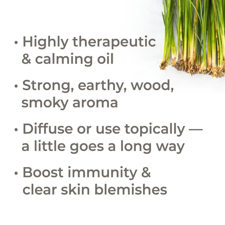 Therapeutic oil benefits listed beside fresh green vetiver grass roots