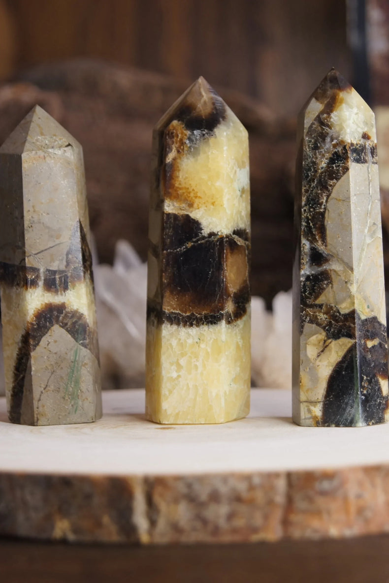 Septarian Generator