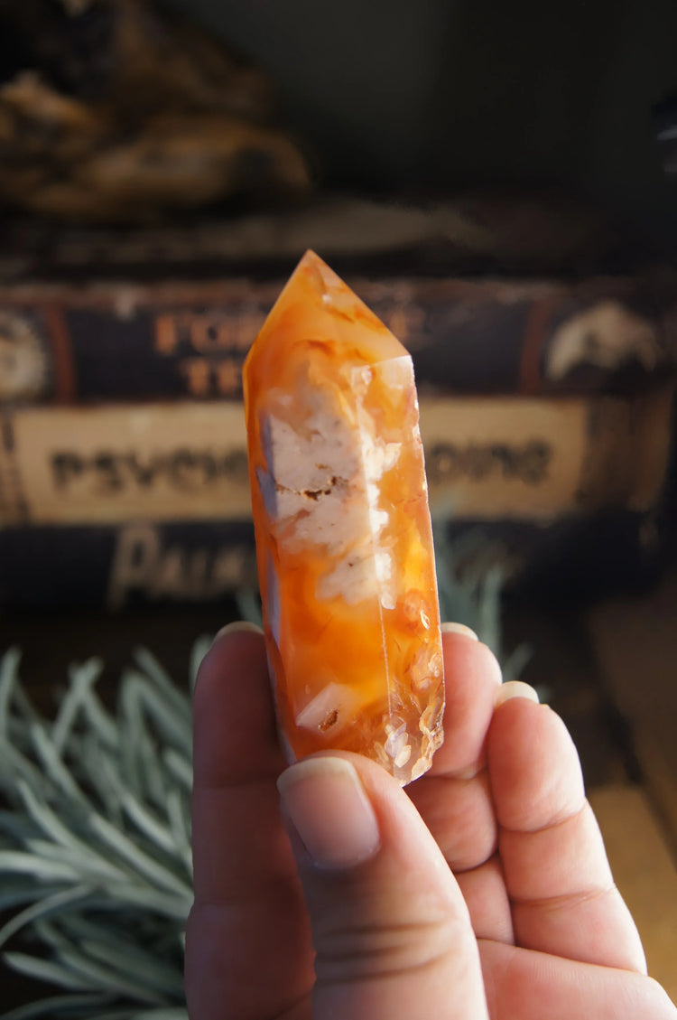 Cherry Blossom Generator