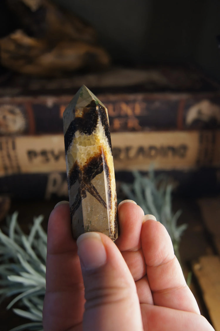 Septarian Generator