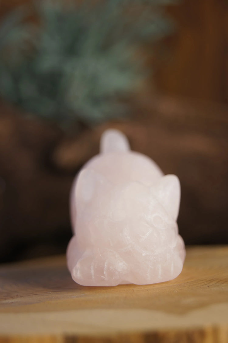Rose Quartz Cat