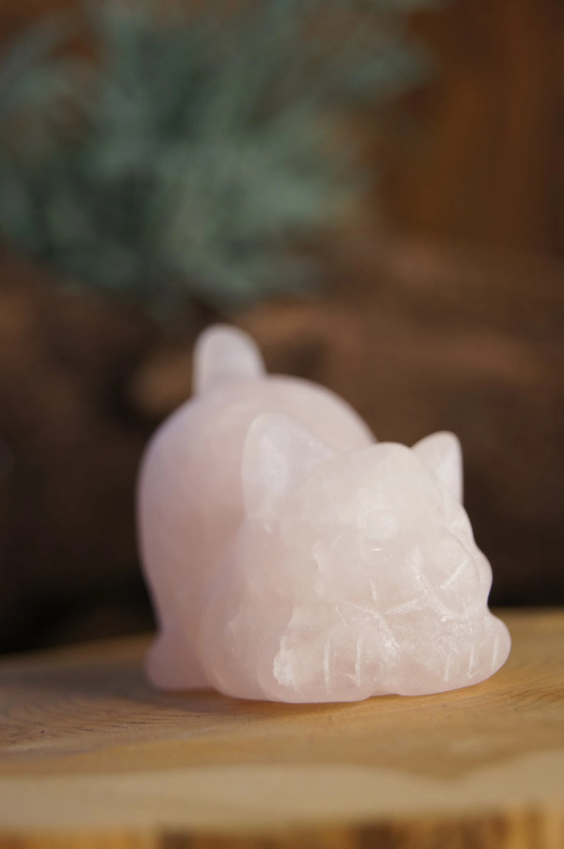 Rose Quartz Cat